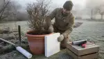 Effektiver Frostschutz mit Styroporabdeckungen