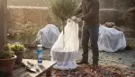 Effektiver Winterschutz Vlies für Ihre Pflanzen
