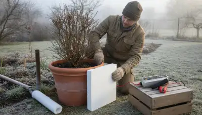 Effektiver Frostschutz mit Styroporabdeckungen