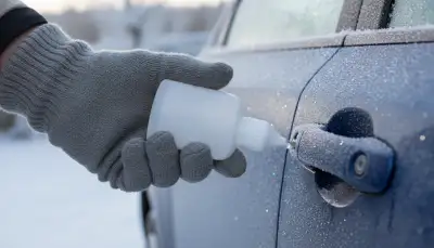 Türschlossenteiser: Soforthilfe bei Frost